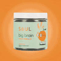 Big Brain Gummies 