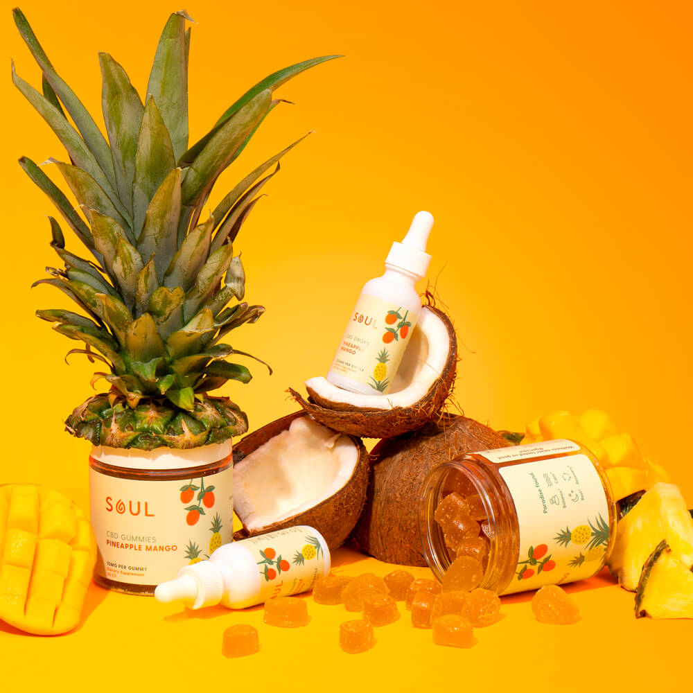 Tropical bundle